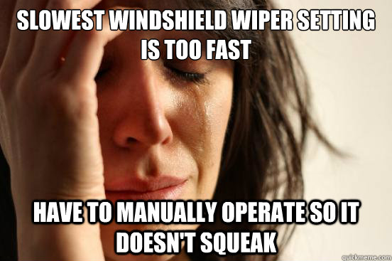 slowest windshield wiper setting is too fast have to manually operate so it doesn't squeak  First World Problems