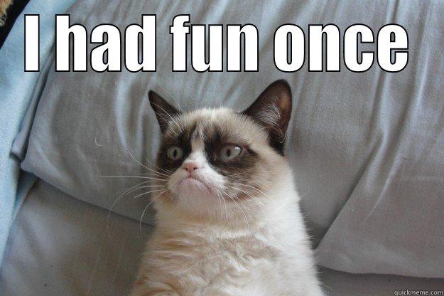 I HAD FUN ONCE  Grumpy Cat