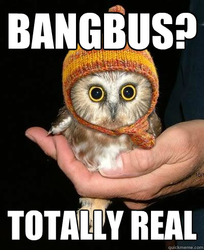 Bangbus? Totally Real - Bangbus? Totally Real  Snopeless Owl