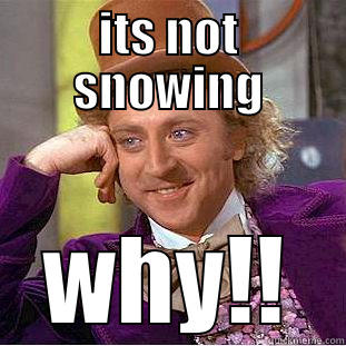 ITS NOT SNOWING WHY!! Condescending Wonka