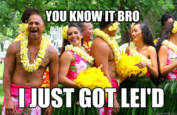 you know it bro I just got lei'd  Hawaiian logic