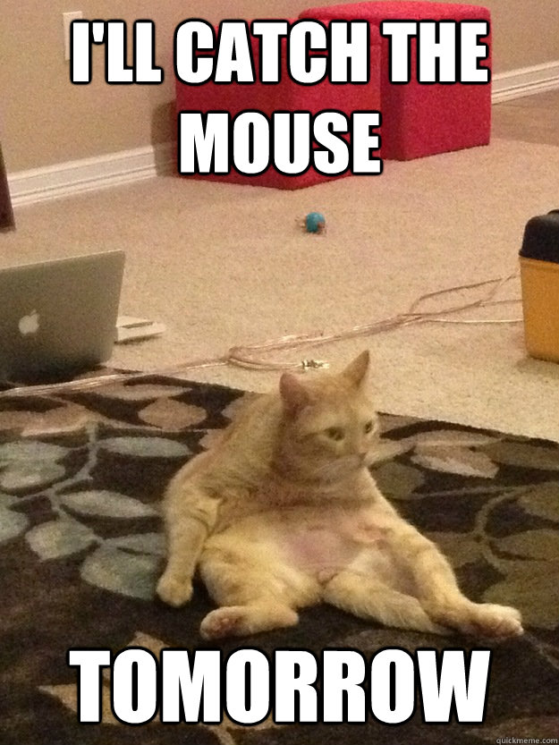 I'll catch the mouse Tomorrow  