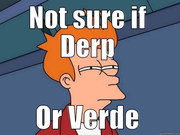 NOT SURE IF DERP OR VERDE Futurama Fry