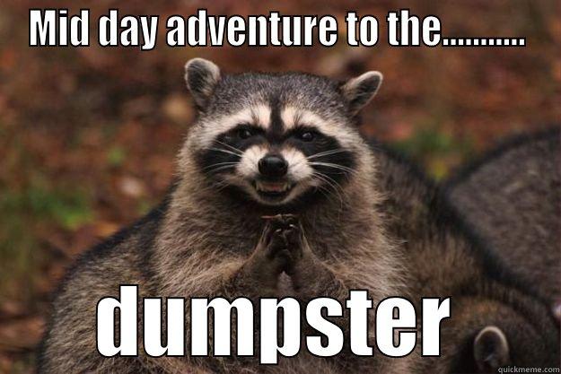 MID DAY ADVENTURE TO THE........... DUMPSTER Evil Plotting Raccoon