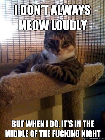 I don't always meow loudly but when I do, it's in the middle of the fucking night  The Most Interesting Cat in the World