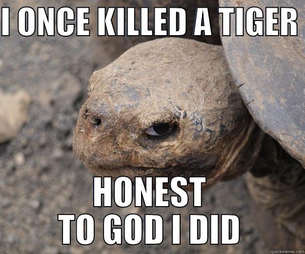 I ONCE KILLED A TIGER  HONEST TO GOD I DID Angry Turtle