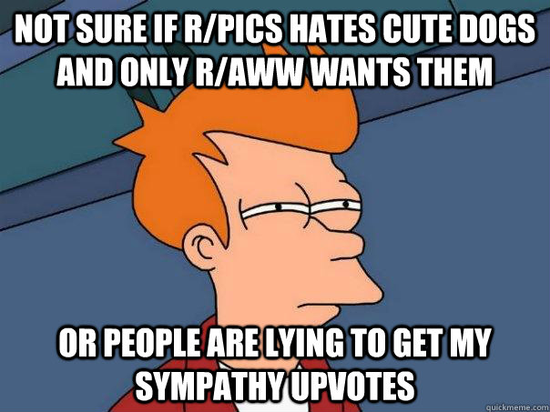 Not sure if r/pics hates cute dogs and only r/aww wants them or people are lying to get my sympathy upvotes  Futurama Fry