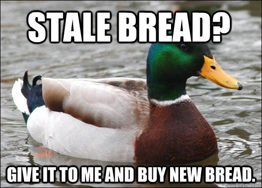 Stale Bread? give it to me and buy new bread.  Actual Advice Mallard