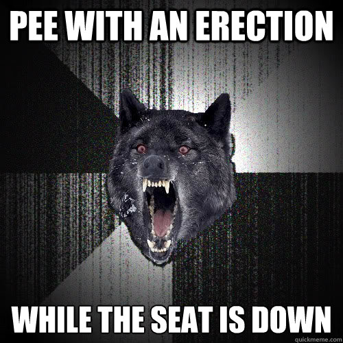 Pee with an erection while the seat is down - Pee with an erection while the seat is down  insanitywolf