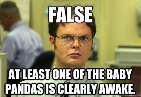 False At least one of the baby pandas is clearly awake. - False At least one of the baby pandas is clearly awake.  Dwight K. Schrute