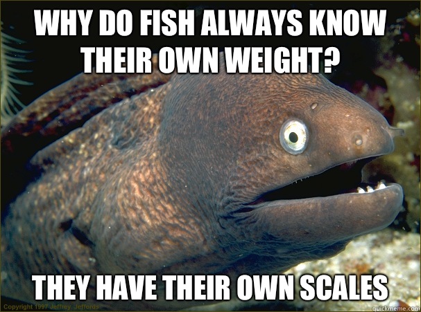 Why do fish always know their own weight? They have their own scales  - Why do fish always know their own weight? They have their own scales   Bad Joke Eel