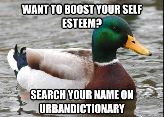 Want to boost your self esteem? Search your name on urbandictionary  Actual Advice Mallard
