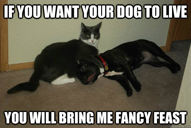 If you want your dog to live you will bring me fancy feast - If you want your dog to live you will bring me fancy feast  Misc