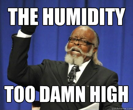 THE HUMIDITY too damn high  Too Damn High