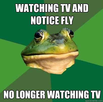 Watching TV and notice fly No longer watching TV  Foul Bachelor Frog