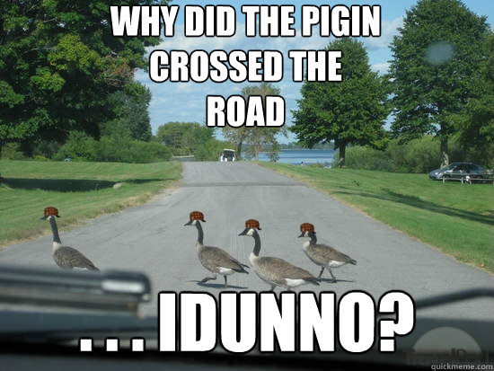Why did the pigin 
crossed the 
ROAd . . . IDUNno?  Scumbag Geese