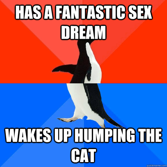 has a fantastic sex dream wakes up humping the cat  Socially Awesome Awkward Penguin