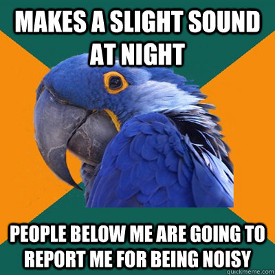 makes a slight sound at night people below me are going to report me for being noisy  Paranoid Parrot