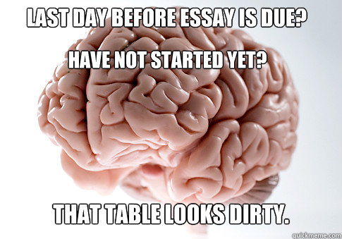 Last day before essay is due? Have not started yet? That table looks dirty.  Scumbag Brain