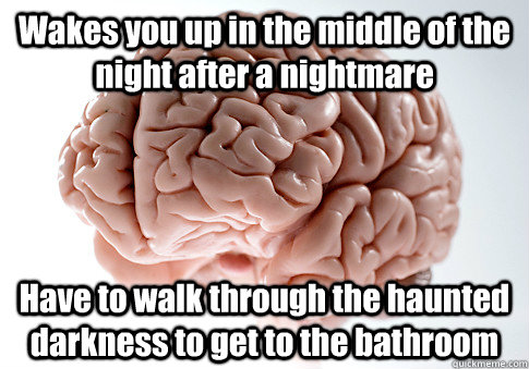 Wakes you up in the middle of the night after a nightmare Have to walk through the haunted darkness to get to the bathroom   Scumbag Brain