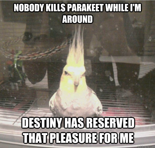 nobody kills parakeet while I'm around  destiny has reserved that pleasure for me  Super Saiyan Parrot