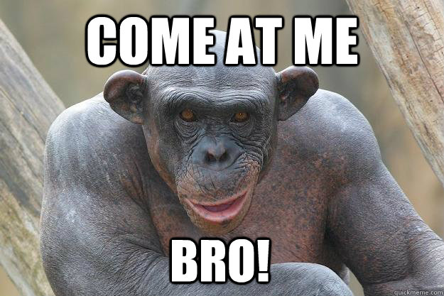 Come At Me BRO! - Come At Me BRO!  The Most Interesting Chimp In The World