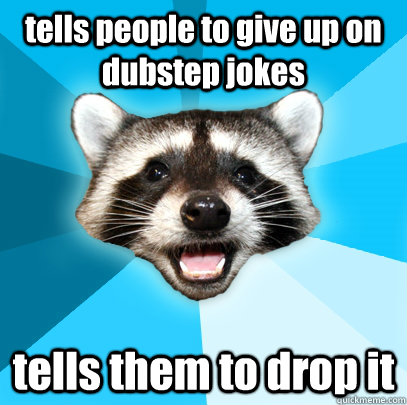 tells people to give up on dubstep jokes tells them to drop it  Lame Pun Coon