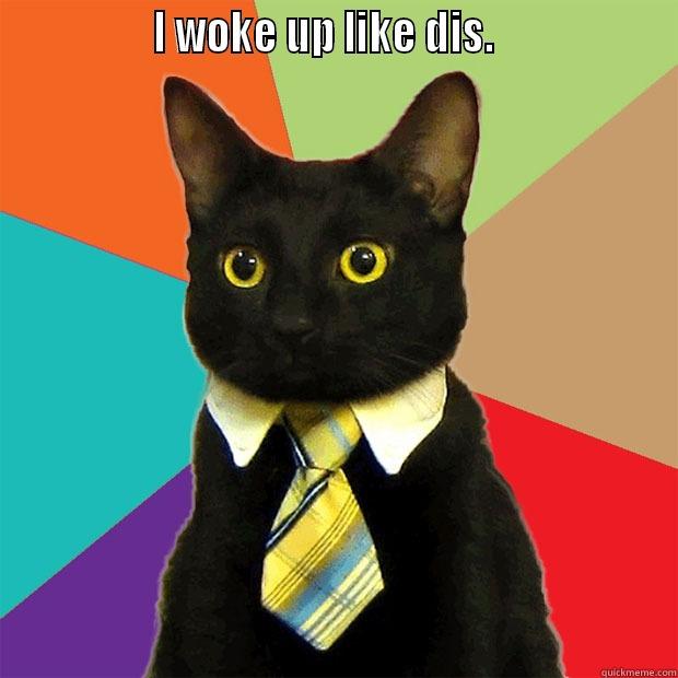 kittyswaggin swaggles -                I WOKE UP LIKE DIS.                    Business Cat