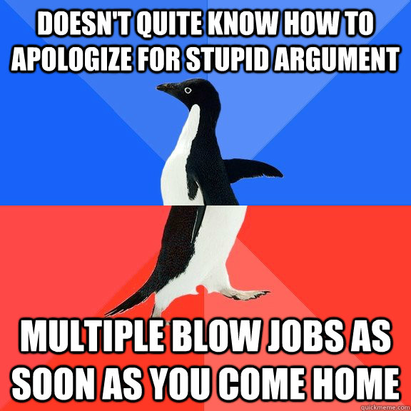 doesn't quite know how to apologize for stupid argument multiple blow jobs as soon as you come home  Socially Awkward Awesome Penguin