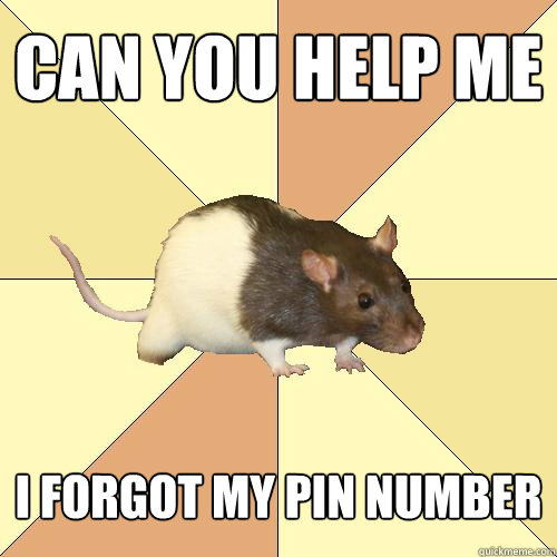 can you help me i forgot my PIN number - can you help me i forgot my PIN number  Redundant Rat