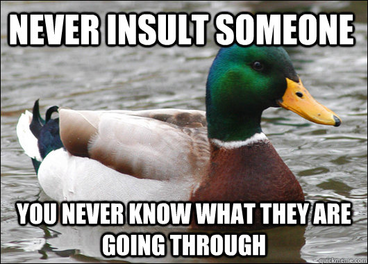 NEVER INSULT SOMEONE YOU NEVER KNOW WHAT THEY ARE GOING THROUGH  Actual Advice Mallard