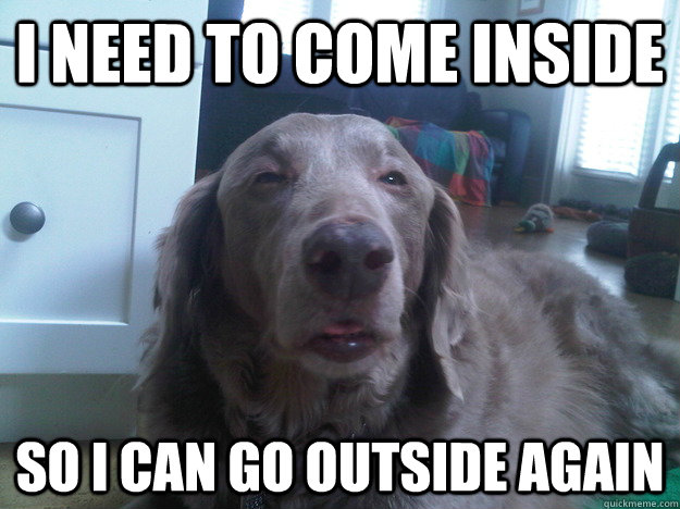 I need to come inside so i can go outside again  