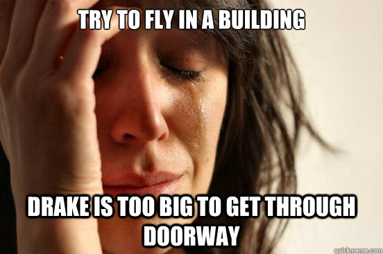 try to fly in a building drake is too big to get through doorway  First World Problems