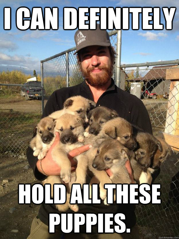 I can definitely hold all these puppies. - I can definitely hold all these puppies.  Ridiculously Photogenic Sled Master