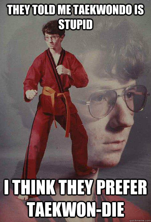 THEY TOLD ME TAEKWONDO IS STUPID i THINK THEY PREFER TAEKWON-DIE  Karate Kyle