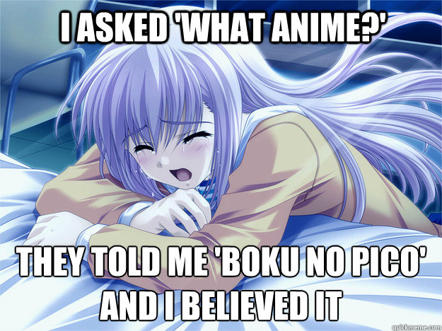 I asked 'What Anime?' They told me 'Boku No Pico'
And I believed it - I asked 'What Anime?' They told me 'Boku No Pico'
And I believed it  Anime world problems