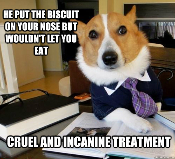 He put the biscuit on your nose but wouldn't let you eat Cruel and incanine treatment  Lawyer Dog