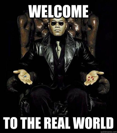 Welcome to the real world - Welcome to the real world  Morpheus