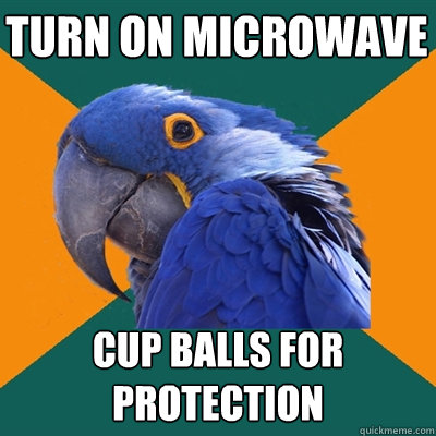 turn on microwave cup balls for protection  Paranoid Parrot