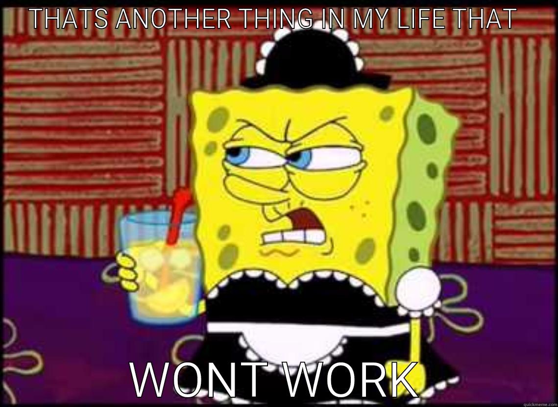 THATS ANOTHER THING IN MY LIFE THAT  WONT WORK Misc