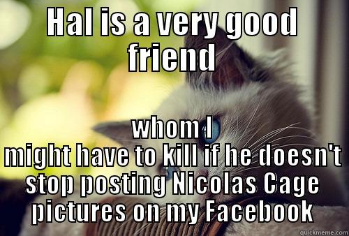HAL IS A VERY GOOD FRIEND WHOM I MIGHT HAVE TO KILL IF HE DOESN'T STOP POSTING NICOLAS CAGE PICTURES ON MY FACEBOOK First World Problems Cat
