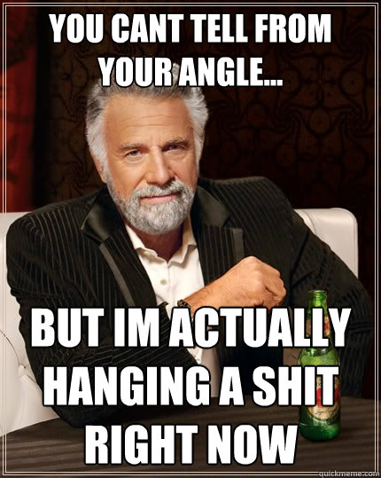 you cant tell from your angle... but im actually hanging a shit right now  The Most Interesting Man In The World