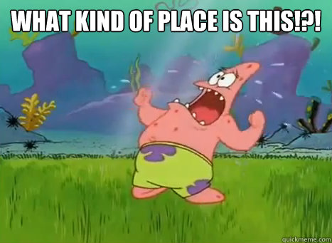 what kind of place is this!?!  - what kind of place is this!?!   Patrick