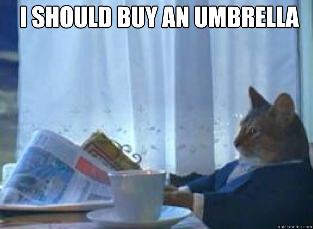 I should buy an umbrella   I should buy a boat cat