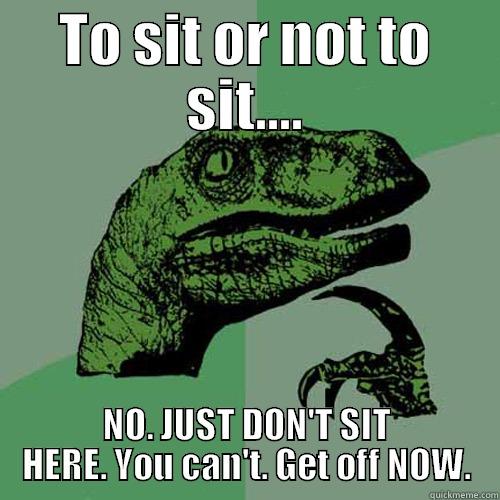 TO SIT OR NOT TO SIT.... NO. JUST DON'T SIT HERE. YOU CAN'T. GET OFF NOW. Philosoraptor