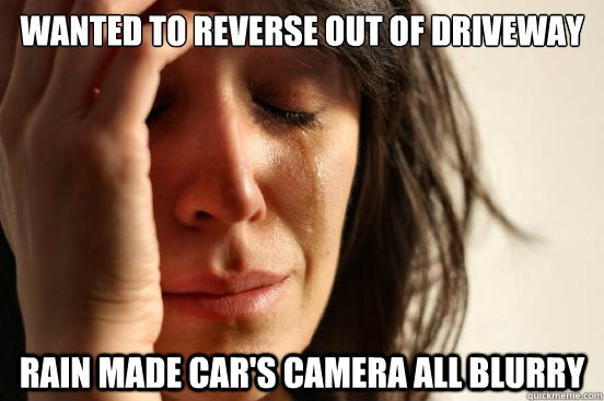 Wanted to reverse out of driveway Rain made car's camera all blurry  First World Problems