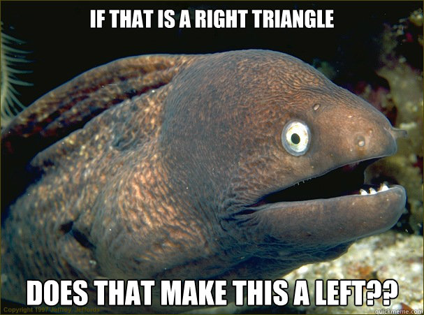 if that is a right triangle does that make this a left??  Bad Joke Eel