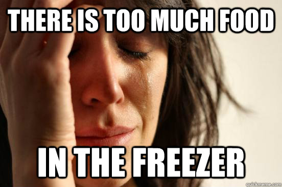 There is too much food In the freezer  First World Problems
