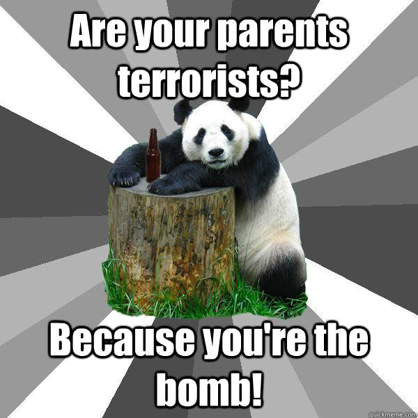 Are your parents terrorists? Because you're the bomb!  Pickup-Line Panda