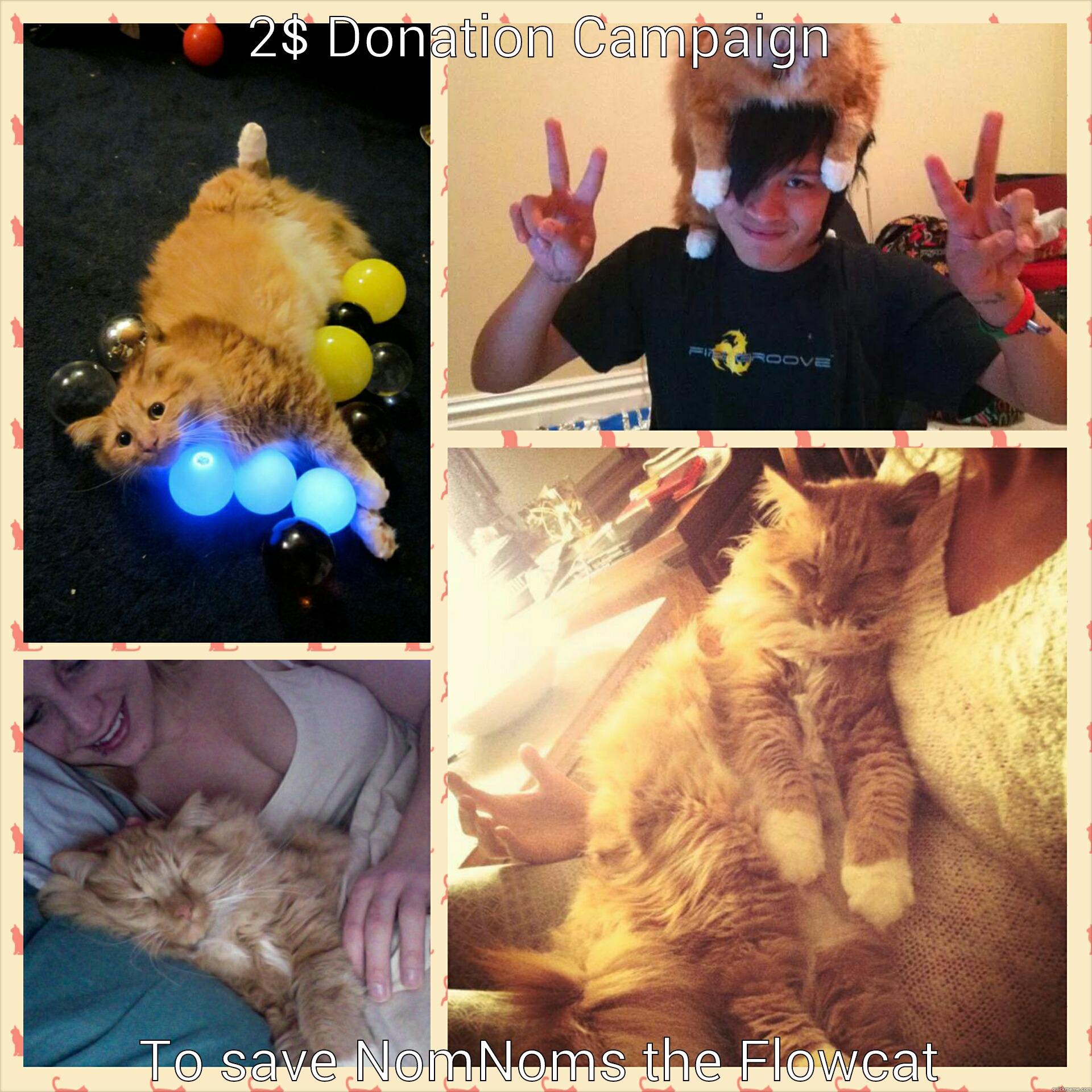 2$ DONATION CAMPAIGN TO SAVE NOMNOMS THE FLOWCAT Misc
